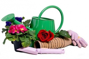 Дача, сад, огород, борьба с вредителями