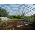 Теплицы фермерские! Для хорошего хозяина! Бесплатная доставка! , фото 2